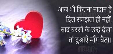 dil se shayari in hindi